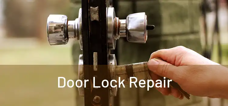 Door Lock Repair